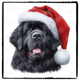 Christmas Dog Design Newfoundland (1) Breed Cute Xmas Santa Hat Doggie