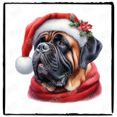 Christmas Dog Design English Mastiff Dog (1) Breed Cute Xmas Santa Hat Doggie