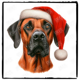 Christmas Dog Design Rhodesian Ridgeback (3) Breed Cute Xmas Santa Hat Doggie