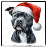 Christmas Dog Design Staffordshire Bull Terrier (3) Breed Cute Xmas Santa Hat Doggie