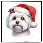 Christmas Dog Design Maltese (1) Breed Cute Xmas Santa Hat Doggie