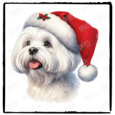 Christmas Dog Design Maltese (2) Breed Cute Xmas Santa Hat Doggie