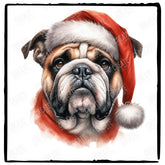 Christmas Dog Design English Bulldog Dog (3) Breed Cute Xmas Santa Hat Doggie