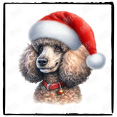 Christmas Dog Design Poodle (1) Breed Cute Xmas Santa Hat Doggie