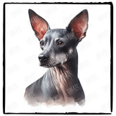 Cute Dog Portrait Xoloitzcuintli (1) Breed Design