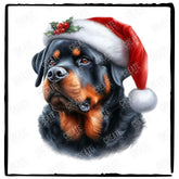 Christmas Dog Design Rottweiler (1) Breed Cute Xmas Santa Hat Doggie