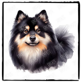 Cute Dog Portrait Finnish Lapphund (2) Breed Design
