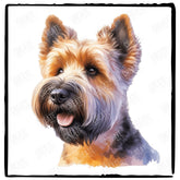 Cute Dog Portrait Glen Of Imaal Terrier (1) Breed Design
