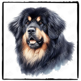 Cute Dog Portrait Tibetan Mastiff (1) Breed Design