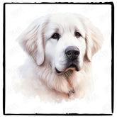 Cute Dog Portrait Kuvasz (1) Breed Design