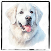 Cute Dog Portrait Kuvasz (3) Breed Design