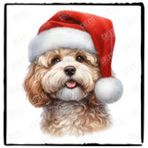 Christmas Dog Design Miniature Poodle (1) Breed Cute Xmas Santa Hat Doggie