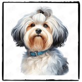 Cute Dog Portrait Lowchen (1) Breed Design