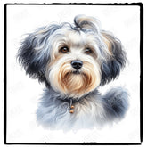 Cute Dog Portrait Lowchen (2) Breed Design