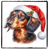 Christmas Dog Design Dachshund Sausage Dog (1) Breed Cute Xmas Santa Hat Doggie