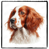 Cute Dog Portrait Irish Red And White Setter (1) Breed Design