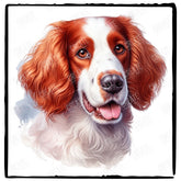 Cute Dog Portrait Irish Red And White Setter (2) Breed Design