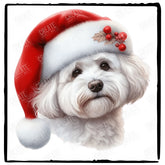 Christmas Dog Design Maltese (3) Breed Cute Xmas Santa Hat Doggie