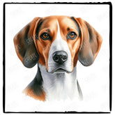 Cute Dog Portrait American Foxhound (2) Breed Design