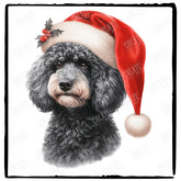 Christmas Dog Design Toy Poodle (1) Breed Cute Xmas Santa Hat Doggie