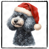 Christmas Dog Design Toy Poodle (2) Breed Cute Xmas Santa Hat Doggie