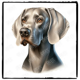 Cute Dog Portrait Weimaraner (1) Breed Design