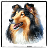 Cute Dog Portrait Collie (2) Breed Design