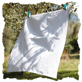 Kitchen Tea Towel - WM701