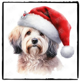 Christmas Dog Design Havanese (1) Breed Cute Xmas Santa Hat Doggie