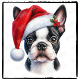 Christmas Dog Design Boston Terrier (3) Breed Cute Xmas Santa Hat Doggie
