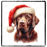 Christmas Dog Design Chocolate Labrador Retriever (2) Breed Cute Xmas Santa Hat Doggie