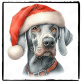 Christmas Dog Design Weimaraner (2) Breed Cute Xmas Santa Hat Doggie