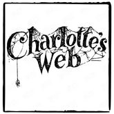 Charlottes Web Pattern Design