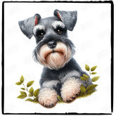 Cute Dog Miniature Schnauzer Breed Design