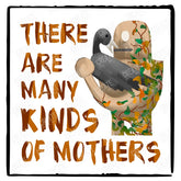 There Are Many Kinds Of Mothers Wild Robot Design