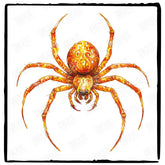 Harry Potter Themed Spider Pattern Design