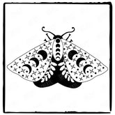 Moth Aesthetic Mythical Pattern Design