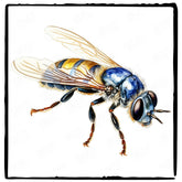 Pretty Nature Pattern Design