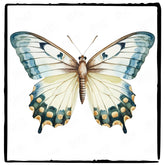 Beautiful Watercolour Butterfly Pattern Design