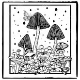 Collection of Mushrooms in the Rain Design