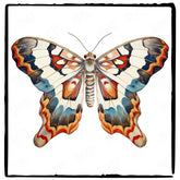 Beautiful Moth Pattern Design