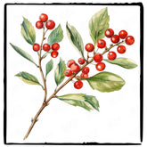 Christmas Plant Pattern Design