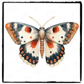 Beautiful Watercolour Moth Pattern Design