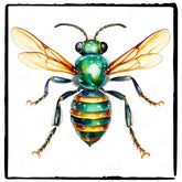 Watercolour Bug Pattern Design