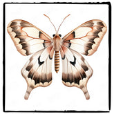 Beautiful White Moth Pattern Design