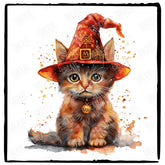 Harry Potter Themed McGonagall Cat Pattern Design