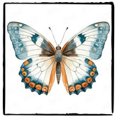 Beautiful White-Blue Butterfly Pattern Design