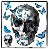 Skull with Blue Butterflies Design