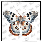 Beautiful Butterfly Pattern Design