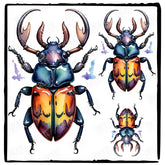Watercolour Stag Beetle Design